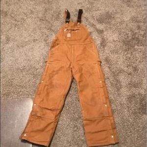 Carhartt Men's Bibs